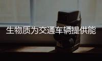 生物质为交通车辆提供能源带来的经济效应规模